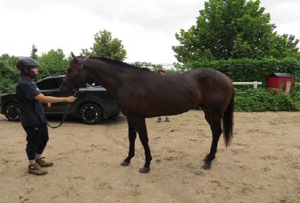 ��ƮŸ�̰� ����