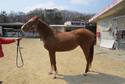 �ݼ����̴� ����