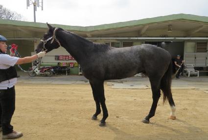 ���÷�Ʈ ����