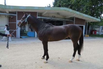 �ɷ��þ� ����