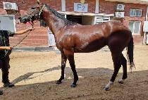 �������ǵ��� (MY HAPPY DAY) ����