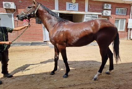 �������ǵ��� ����