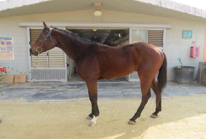 ��Ŭ������Ʈ ����