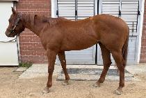 ���̿� (K ONE) ����