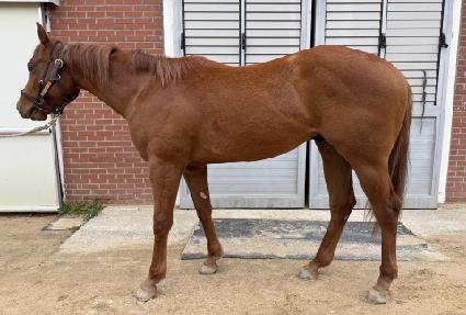 ���̿� ����