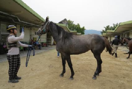 �۴����� ����