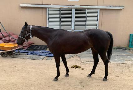 �������� ����