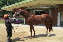 ��ī�Ϸ��� (SKYLOR JOHN) ����