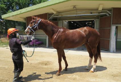 ��ī�Ϸ��� ����