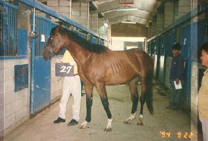 ������ ����