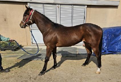 ��õ����Ƽ�� ����