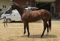 �޸�Ʈ������ (MERIT SUNSHINE) ����