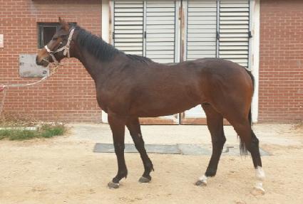 ���Ի�� ����