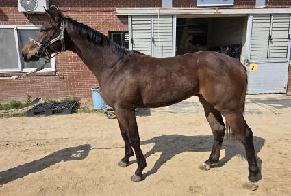 �����̺��̺� ����