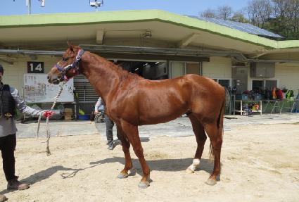 ���̵��� ����