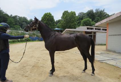 ŷ�����̽� ����