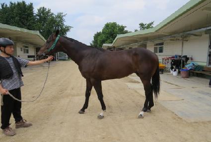 õ����Į ����