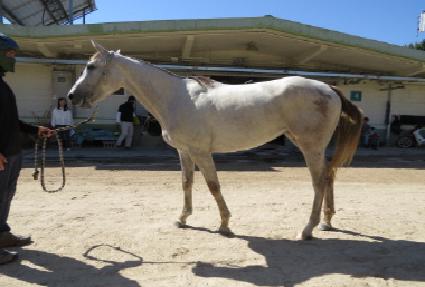 ���۶��� ����