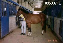 �ǰ (PAN GOK RI) ����