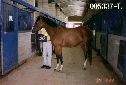 �ǰ ����