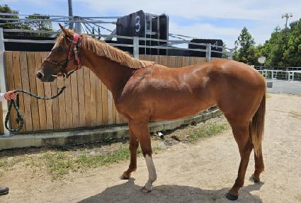 �������ε� ����