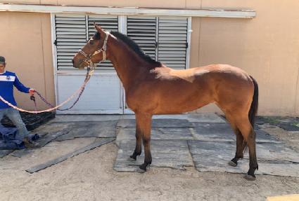 ���丮������ ����