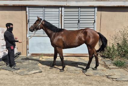 ����Ÿ�̰� ����