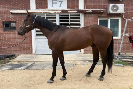 ��������Ʈ ����