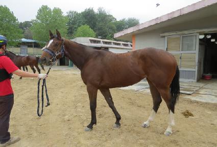 �����н� ����