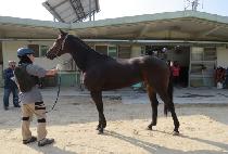 ������ (JIGU BIT) ����