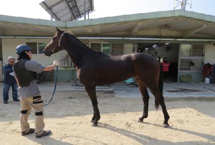 ������ ����