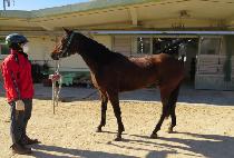 ��ſ�� (JEULGEOUN BIT) ����