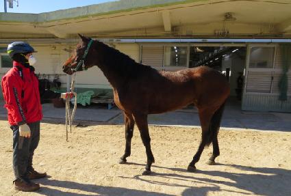 ��ſ�� ����