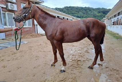 �뼺��Ʈ ����