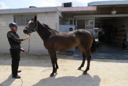 ���� ����