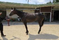 �Ƹ��ٿ�� (AREUMDAUN BIT) ����