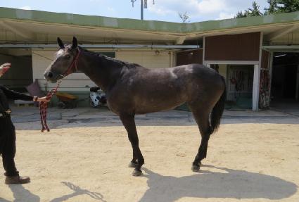 �Ƹ��ٿ�� ����