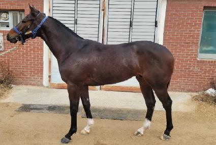 �������� ����