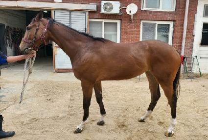 ����ũ����Ʈ ����