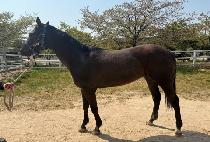 ����ũ���̽� (TAKE RACE) ����