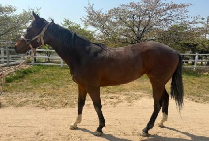 ���Ƿο� ����