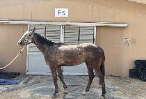 �÷������� (FLASH TO ME) ����