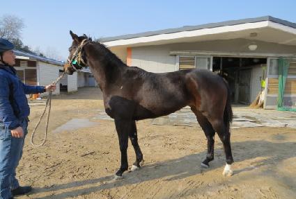 ��ī���� ����