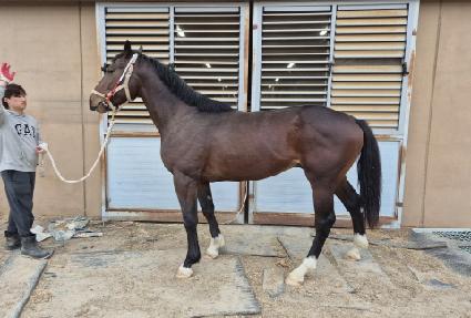 ���θ��� ����