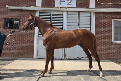 è���ǿ��� ����