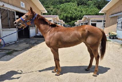 �����ǲ� ����