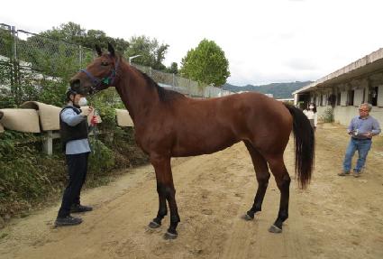 ũ���ð� ����