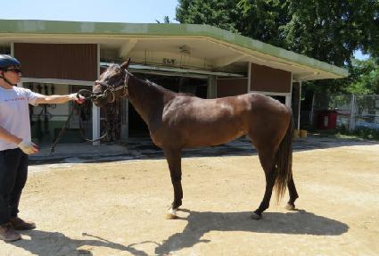 ��������� ����