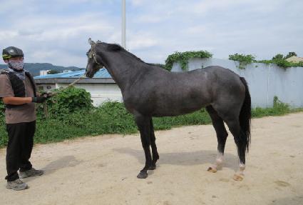 �������Լ� ����