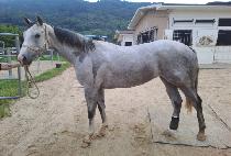 ���̽����� (NICE MYEONGGA) ����